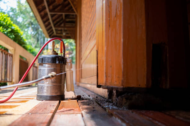 Best Ant Control Services  in Indian Lake, MO